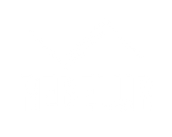 ShopRebelur